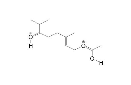 3,7-DIMETHYL-6-OXOOCT-2-ENYL ACETATE DIPROTONATED