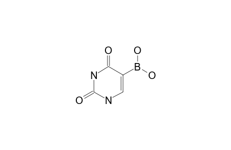 (2,4-diketo-1H-pyrimidin-5-yl)boronic acid