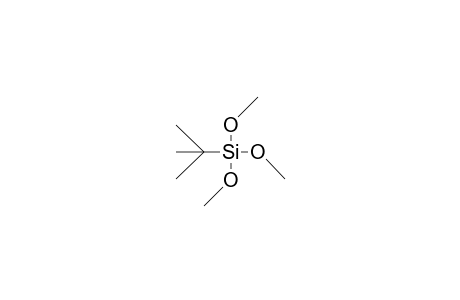 tert-Butyl-trimethoxy-silane
