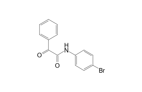 N-(4-bromophenyl)-2-oxo-2-phenylacetamide