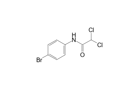 4'-bromo-2,2-dichloroacetanilide