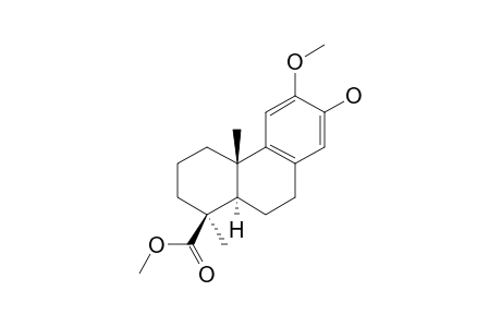 METHYL,13-HYDROXY,12-METHOXYPODOCARPA-8,11,13-TRIEN-19-OATE