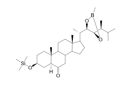 Testerone methaneboronate-trimethylsilyl ether dev.