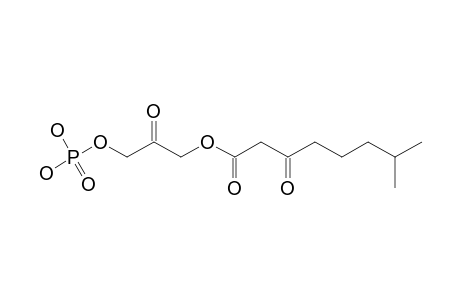 3-(7-METHYL-3-OXOOXTANOYLOXY)-2-OXOPROPYL-PHOSPHATE