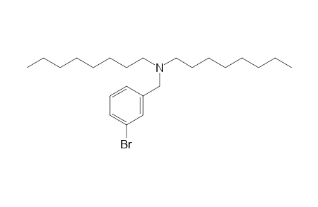 3-Bromobenzylamine, N,N-dioctyl-