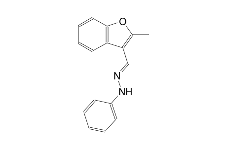 3-benzofurancarboxaldehyde, 2-methyl-, phenylhydrazone