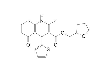 tetrahydro-2-furanylmethyl 2-methyl-5-oxo-4-(2-thienyl)-1,4,5,6,7,8-hexahydro-3-quinolinecarboxylate