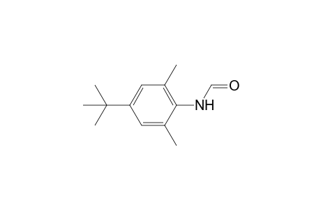 N-(4-tert-Butyl-2,6-dimethylphenyl)formamide