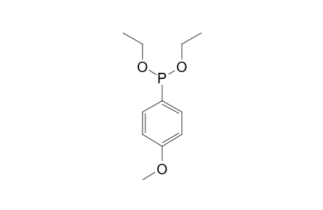 diethoxy-(4-methoxyphenyl)phosphane