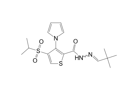 4-(Isopropylsulfonyl)-3-(pyrrol-1-yl)-2-thiophenecarboxylic acid, (2,2-dimethylpropylidene)hydrazide