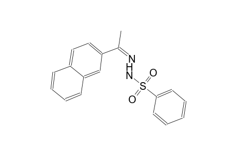 N'-[(Z)-1-(2-naphthyl)ethylidene]benzenesulfonohydrazide