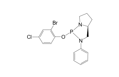 (2R,5S)-2-(2-BROMO-4-CHLOROPHENOXY)-3-PHENYL-1,3-DIAZA-2-PHOSPHABICYCLO-[3.3.0(1,5)]-OCTANE