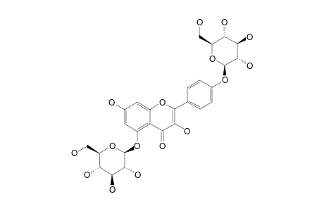 KAEMPFEROL-5,4'-DI-O-BETA-D-GLUCOPYRANOSIDE