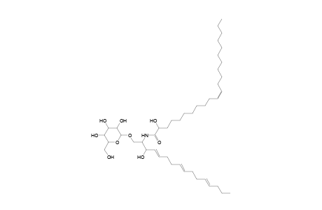 HexCer 16:3;2O/22:1;O