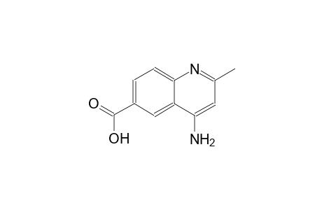 6-quinolinecarboxylic acid, 4-amino-2-methyl-
