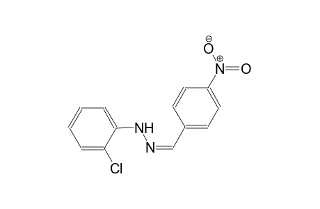 4-nitrobenzaldehyde (2-chlorophenyl)hydrazone