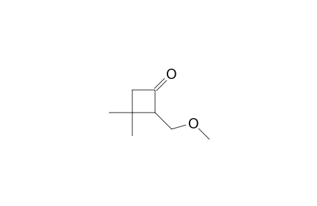 Cyclobutanone, 2-(methoxymethyl)-3,3-dimethyl-