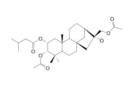 16R-2-ALPHA-(3-METHYLBUTANOYLOXY)-3-ALPHA,17-DIACETOXY-16-HYDROXYPHYLLOClADANE