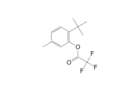 2-Tert-butyl-5-methylphenol, trifluoroacetate