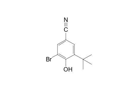 3-bromo-5-tert-butyl-4-hydroxybenzonitrile