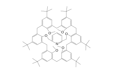 5,11,17,23,29,35-Hexa(t-butyl)-37,38,40,41-tetramethoxy-39,42-[(2',6'-pyridinediyl)-bis(methyleneoxy)]calix[6]arene
