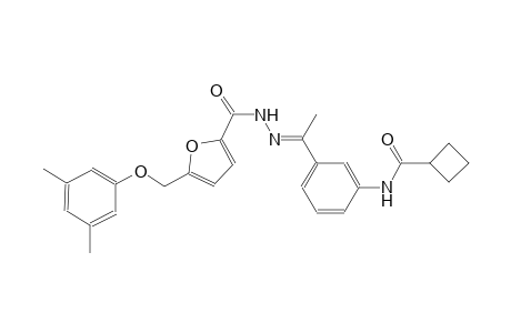N-[3-((1E)-N-{5-[(3,5-dimethylphenoxy)methyl]-2-furoyl}ethanehydrazonoyl)phenyl]cyclobutanecarboxamide