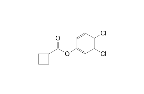 Cyclobutanecarboxylic acid, 3,4-dichlorophenyl ester