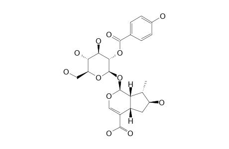 2'-O-PARA-HYDROXYBENZOYL-8-EPILOGANIC-ACID