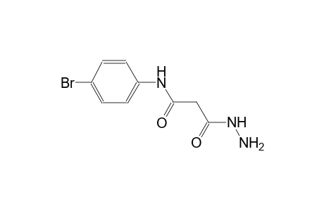 N-(4-bromophenyl)-3-hydrazino-3-oxopropanamide