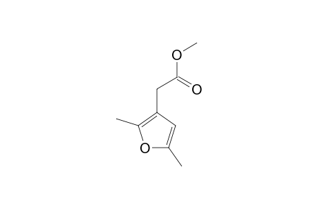 METHYL-3-(2,5-DIMETHYL)-FURANYLACETATE