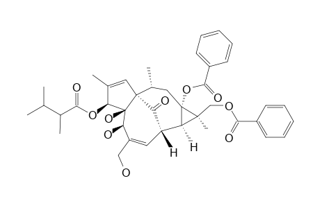 13,17-DIBENZOYLOXY-3-O-(2,3-DIMETHYLBUTANOYL)-INGENOL