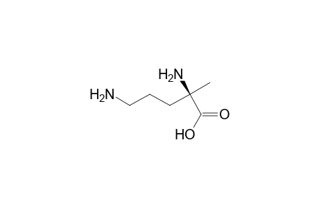 (2R)-2,5-bis(azanyl)-2-methyl-pentanoic acid