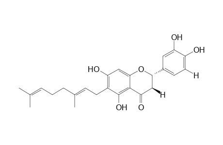 (S,E)-2-(3,4-dihydroxyphenyl)-6-(3,7-dimethylocta-2,6-dien-1-yl)-5,7-dihydroxychroman-4-one
