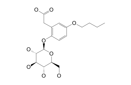 2-BETA-D-GLUCOPYRANOSYLOXY-5-BUTOXY-PHENYLACETIC-ACID