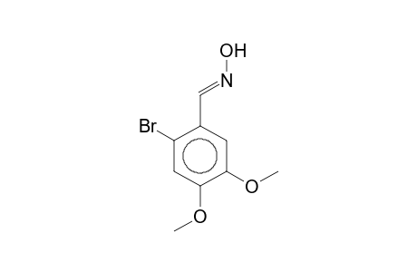 2-Bromo-4,5-dimethoxybenzaldehyde oxime