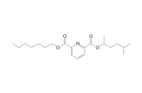 2,6-Pyridinedicarboxylic acid, 5-methylhex-2-yl heptyl ester