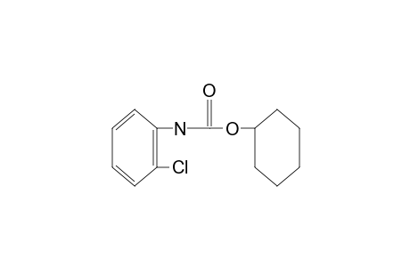 o-chlorocarbanilic acid, cyclohexyl ester