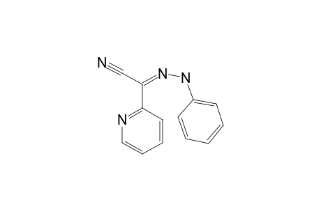 N-(phenylamino)pyridine-2-carboximidoyl cyanide