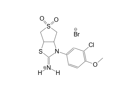 3-(3-chloro-4-methoxyphenyl)tetrahydrothieno[3,4-d][1,3]thiazol-2(3H)-iminium 5,5-dioxide bromide