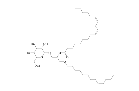 MGDG O-13:1_18:2