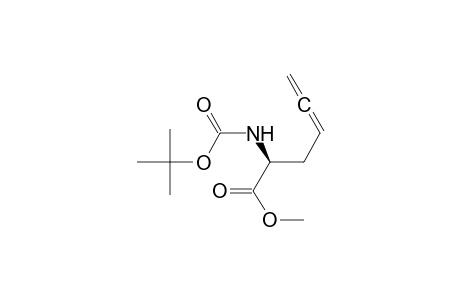 (2S)-2-(tert-butoxycarbonylamino)hexa-4,5-dienoic acid methyl ester