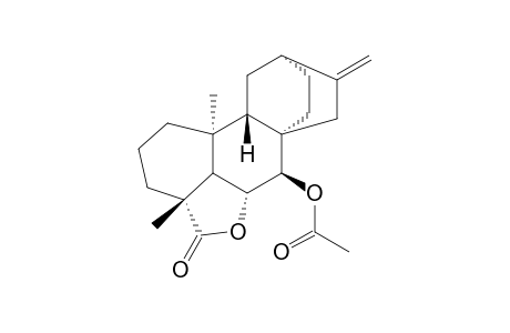 7b-Acetoxy-kaurenolide