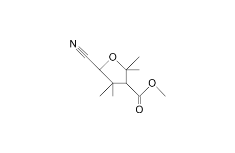 cis-5-Cyano-2,2,4,4-tetramethyl-tetrahydrofuran-3-carboxylic acid, methyl ester