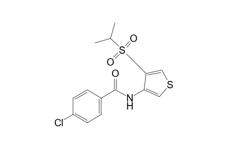 p-chloro-N-[4-(isopropylsulfonyl)-3-thienyl]benzamide