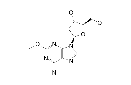 2'-DEOXYSPONGOSINE;9-BETA-(2-DEOXY-D-RIBOFURANOSYL)-2-METHOXY-ADENINE