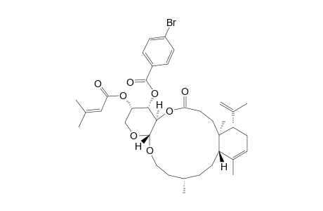 1H-Pyrano[3,2-e][4,7]benzodioxacyclotetradecin, benzoic acid deriv.