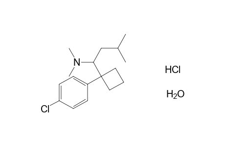 Sibutramine HCl monohydrate