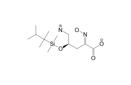 (E)-(4R)-5-AMINO-4-[DIMETHYL-(1,1,2-TRIMETHYLPROPYL)-SILYLOXY]-2-(HYDROXYIMINO)-PENTANOIC-ACID