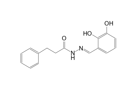 benzenepropanoic acid, 2-[(E)-(2,3-dihydroxyphenyl)methylidene]hydrazide