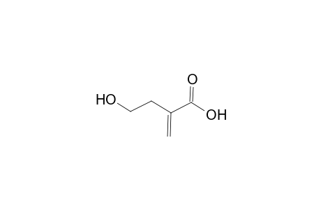 Butanoic acid, 4-hydroxy-2-methylene-
